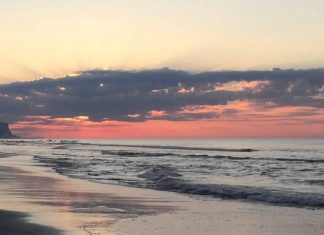 15 Things to do This Spring Break as a Grad Student