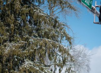 What Holiday Treat Should You Stress Bake/Eat?