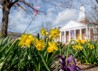 Spring Into a New Habit