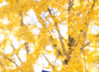 11 Tips for People Looking Into Getting a Master’s Degree Online