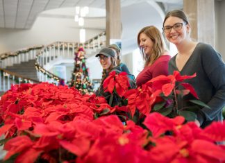 The Broke College Student’s Guide to Giving Holiday Gifts