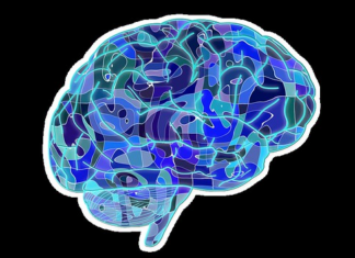 Exploring Creativity in Graduate School