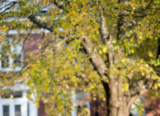 4 Strategies for Completing Your Dissertation