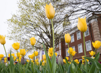 Healthy Summer: 5 Fit Tips for College Students