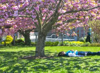 Things Every College Student Should Do This Summer