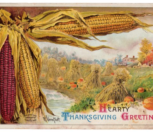 Thankfulness (turkey optional)