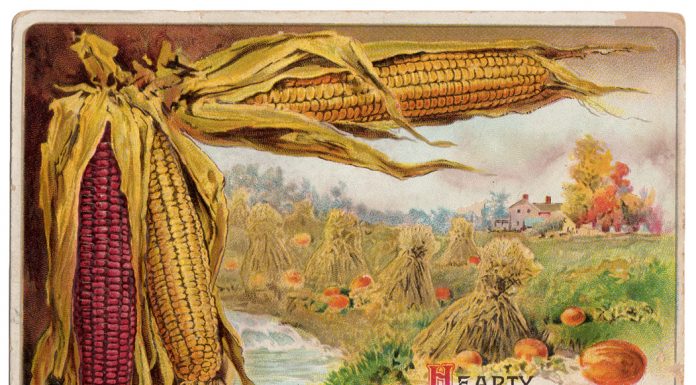 Thankfulness (turkey optional)