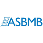 ASBMB Zoom Meeting 04/23