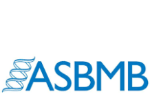 ASBMB Zoom Meeting 04/23