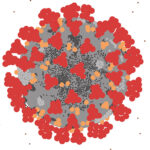 Tornado and COVID-19 Experience Project