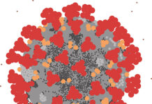 Tornado and COVID-19 Experience Project