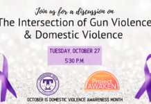 Join us for a Discussion of The Intersection of Gun Violence & Domestic Violence