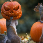 Wildlife Society Mix N Mingle TODAY