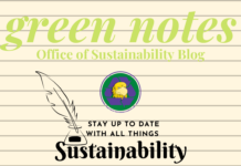 Green Notes: How to Be Sustainable During a Pandemic