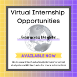 Virtual Internships Abroad