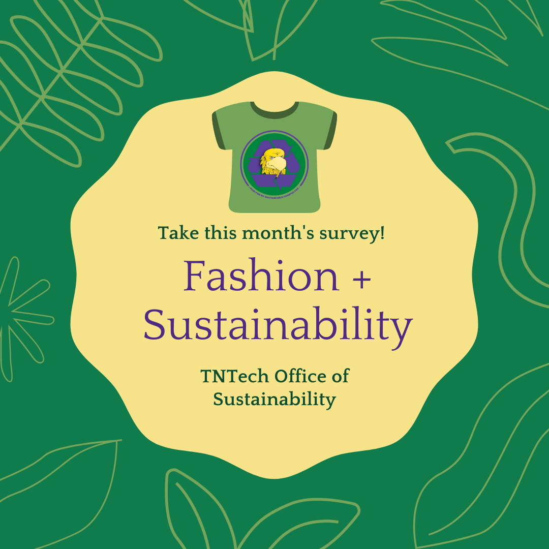 This month’s survey: Fashion + Sustainability! | Tech Times