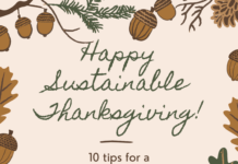 Ten Tips for a Sustainable Thanksgiving!