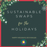 Sustainable Swaps for the Holidays