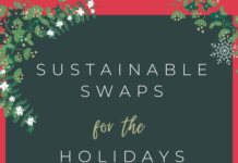 Sustainable Swaps for the Holidays