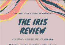 Iris Review Submissions are Open Until February 28th!