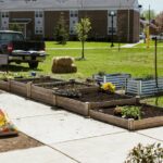 Alternative Spring Break