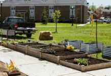 Alternative Spring Break