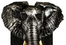 TTU Faculty, Staff and Students Qualify for a 50% Discount on Summer Workshops