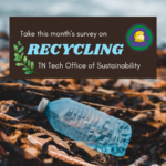 This month’s survey: Recycling!
