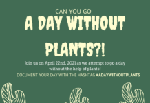 A Day Without Plants! April 22, 2021