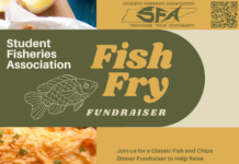SFA FISH FRY