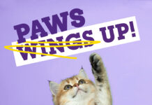 Project Whiskers – Kitten Adoption Event