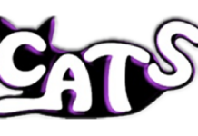 The kittens need your help! Carin’ About The Strays (CATS)