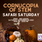 Cornucopia of STEM Safari Saturday