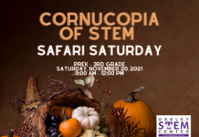 Cornucopia of STEM Safari Saturday