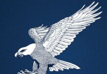 Young Americans for Liberty – Club Meetings