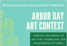 Arbor Day Art Contest!