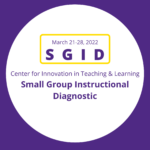 CITL Small Group Instructional Diagnostics