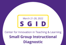CITL Small Group Instructional Diagnostics