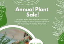 Annual Plant Sale