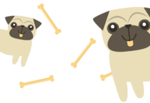 Come Make Furry Friends at Our Animal Shelter Event