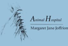 Animal Hospital: Margaret Jane Joffrion Senior Thesis Exhibition