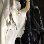 Memento: Anna Grayson Senior Thesis Exhibition