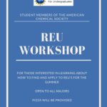 Research Experiences for Undergraduates (REU) workshop on Nov 22