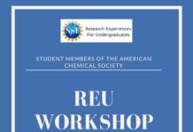 Research Experiences for Undergraduates (REU) workshop on Nov 22