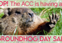 Groundhog Day Sale at the Appalachian Center for Craft