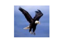 2023 CSB Outstanding Advocate Award