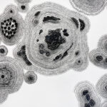 Opening Saturday, May 6: Material Echoes