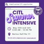 CITL Summer Intensive 2023