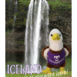 Make a Gift, Get an Eagle!