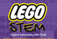 Building a brighter future one BRICK at a time!